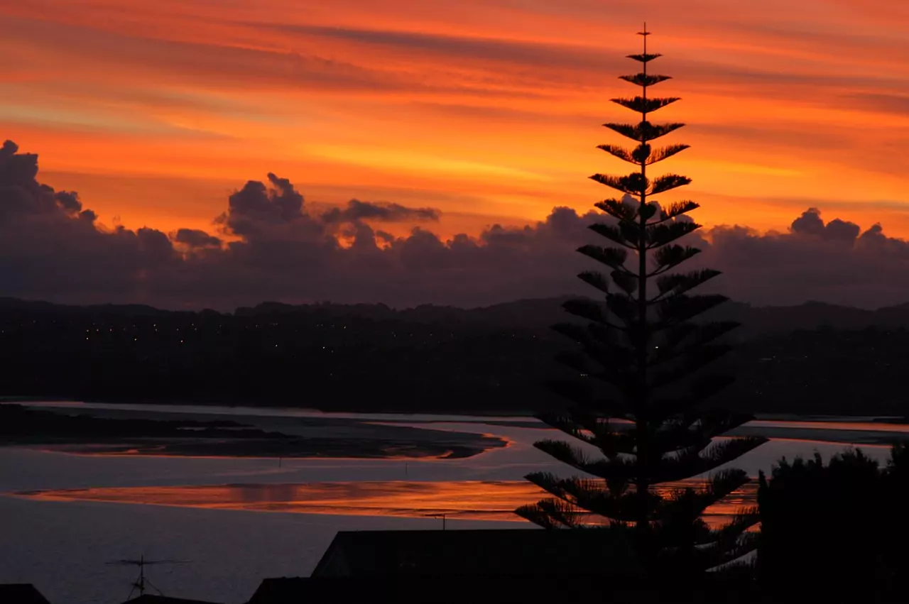 Why New Zealand May Be a Strong Fit for Your Move