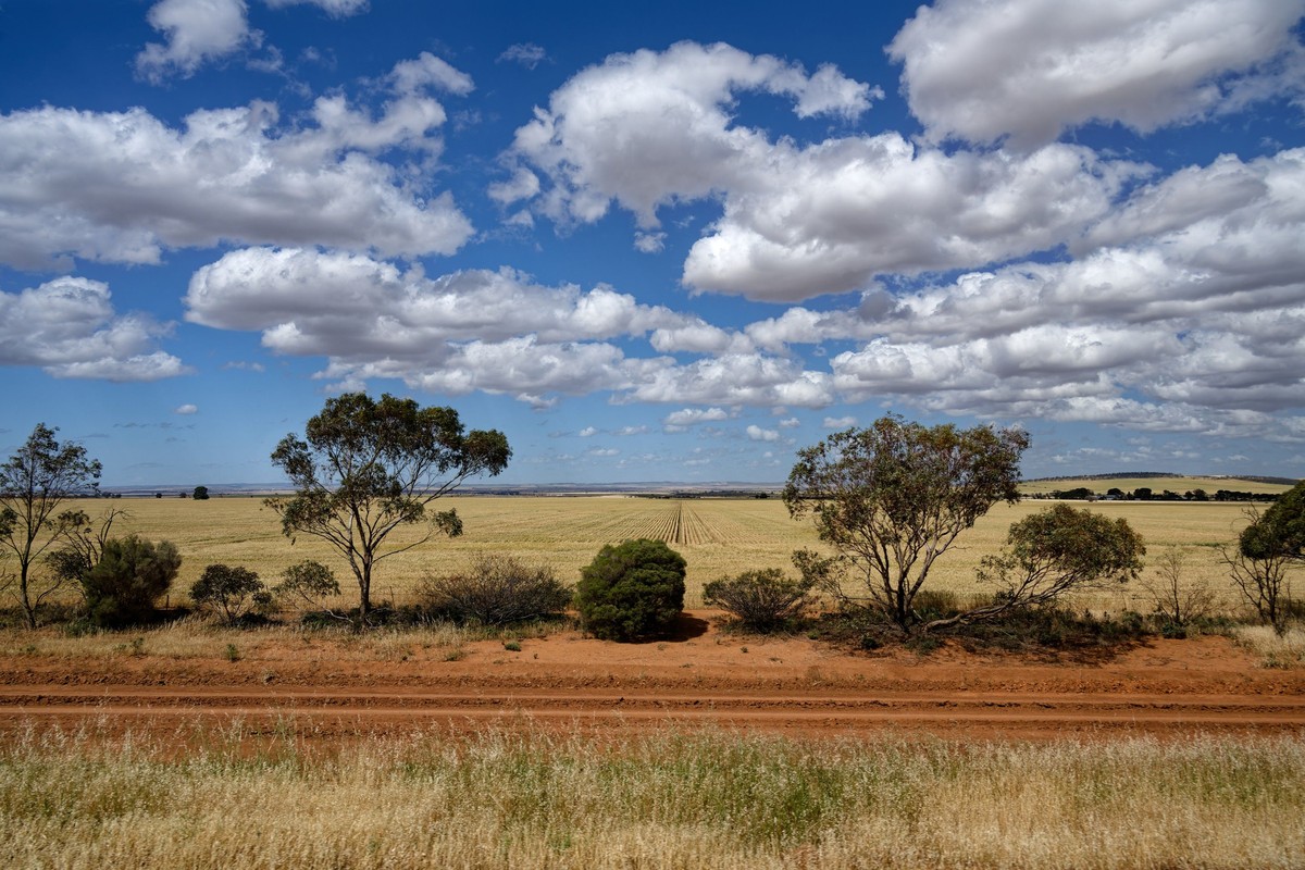 Regional Australia for South Africans: Perth, Adelaide, Geelong and the Pilbara